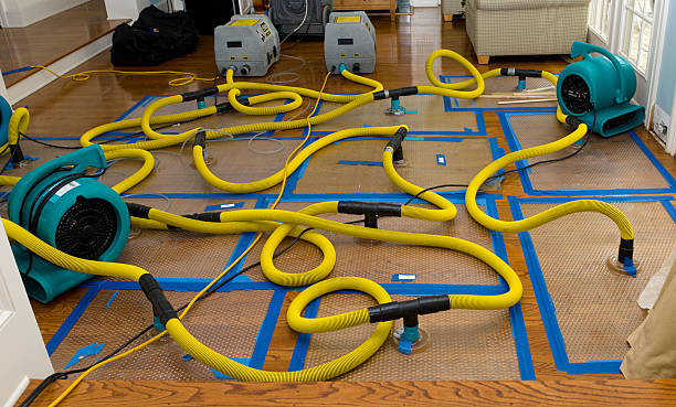 Professional Emergency Water Removal technician working in Rimforest, CA